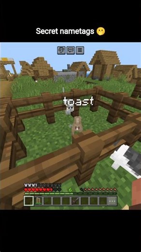 Secret Minecraft nametags 🫢 #shorts #minecraft