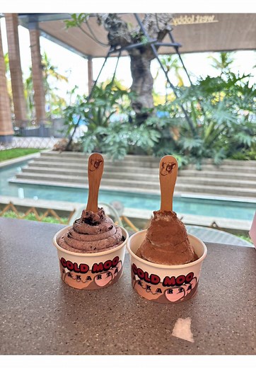 what we had in jakarta, so much more to eat (bakso, gepuk, garuda etc) but so little time 🥲 #jakartatrip