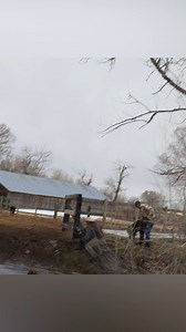 14K views · 369 reactions |  Ranching Gets CRAZY! This Calf Almost Escaped!  #dayontheranch #funvideo #workingranch #cattlecountry #countryliving #trendingnow #viralnow #interestingvideo #highwoodmountains #montana #trinityvandenacre #lifeinthewest #movingcalves #wildlifemoments #rancherlife #ranchadventures | Life in the West | Facebook