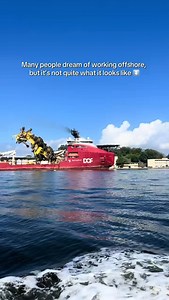 Offshore work is not as sweet as it may look. Yes, contracts are short, and salaries are often higher, but behind that is 12-hour shifts every day, often at night, with rough seas, rain, heat, or strong winds. Danger is always close, and stress becomes a normal part of life. Even a short contract can feel long out here. That’s why short contracts are not a bonus - they’re a necessity. It’s hard to handle this for much longer, and everyone who’s been offshore knows it. Sure, sometimes you get an 