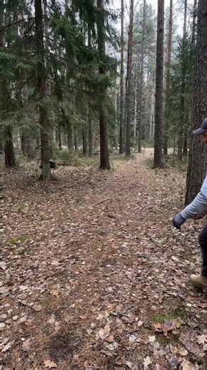 Underground Bunker Build: How I Dug and Hid a Forest Bunker