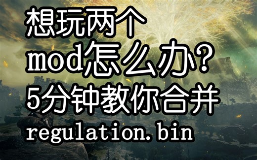 想玩两个mod怎么办？ 5分钟教你合并法环regulation.bin文件 使用DSMapStudio