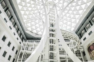 The most IG-worthy spots in the new National Museum of Natural History