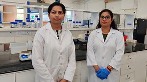 IIT Mandi researchers treat colorectal cancer using smart, biodegradable nanoparticles from renewable resources