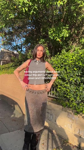 Debating the Color of a Skirt: Green or Not?