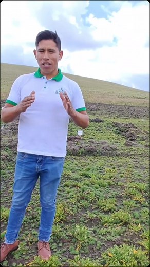 Desarrollo de la Maca Negra Orgánica en Cusco