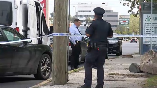 Skull and other human remains found near busy Queens shopping center: Police