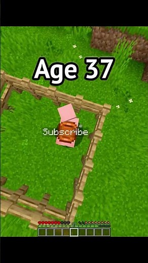 Clutches At Different Ages…🤯 (World’s Smallest Violin)
