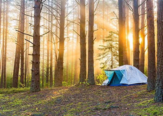 57 national forests with campgrounds open year-round