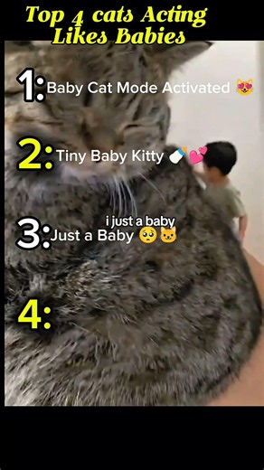 Top 4 Cats Acting Like Babies! 🥺🐱 #shorts​#Shorts #YouTubeShorts #CuteCats #CatLovers #Kitten