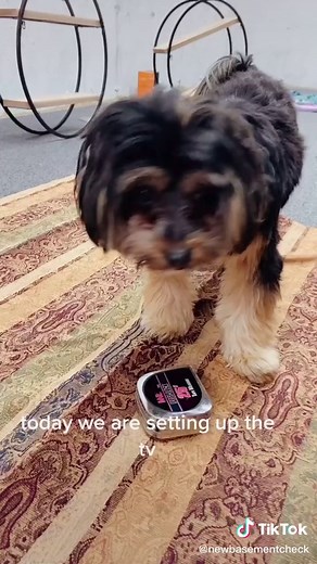 Reply to @allegrahughess setting up tv #fyp #basement #renovation