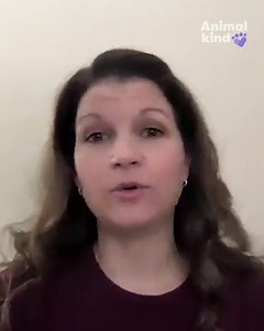 3.4M views · 10K reactions | Mango the missing donkey couldn't run fast enough when he heard his owner calling for him.  | KENS 5 & Kens5.com | Facebook