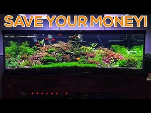 BEGINNER PLANTED AQUARIUM MISTAKES - OVER SPENDING!