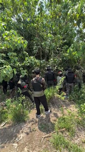 Commandos Operation: Inside the World of Elite Military Training and Tactical Operations