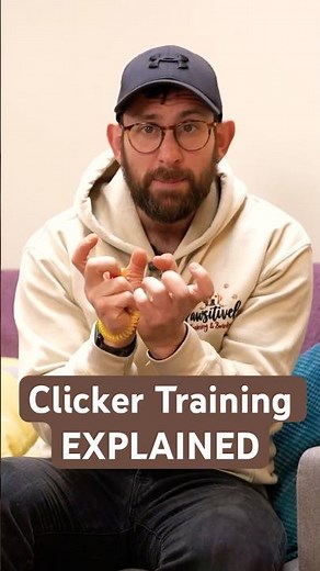 Clicker Training Explained in 60 Seconds! #dogtraining #clickertraining #dogtrainer