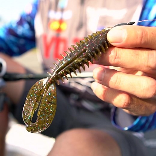 23K views · 922 reactions | The Z-Craw stays tied on in Brandon Cobb Fishing's boat. Here's why and the reason he really loves it this time of year. | Zoom Bait | Facebook