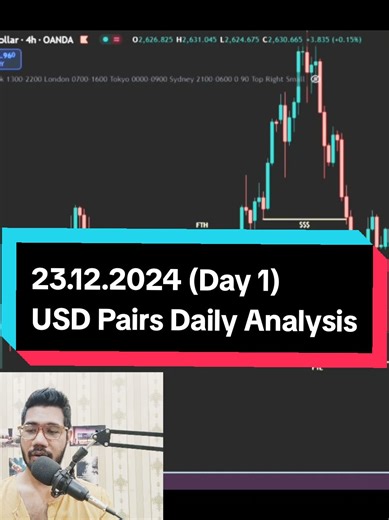 USD Pairs Daily Analysis for 23.12.2024