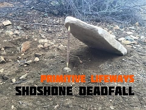 Shoshone Deadfall Trap