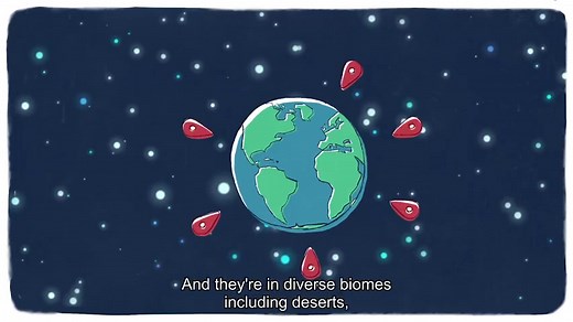 【TED】TED-ED科普科教动画【301-400集】/ 高清英文字幕 / 看动画学英语 / 练听力学科学 / 最全TED科教动画集锦