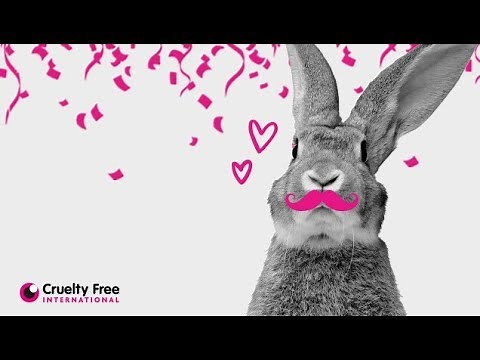 Forever Against Animal Testing: what’s next? How to have animal testing in cosmetics abolished