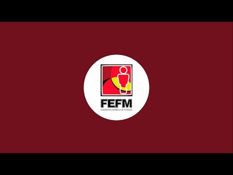 FEDERACION ESPAÑOLA DE FUTBOLIN