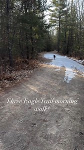22K views · 199 reactions | Whether you walk on two legs or four, the Three Eagle Trail is a biking and walking path connecting the communities of Three Lakes and Eagle River!  https://bit.ly/48x47tD : Alicia Dal Ponte | Eagle River, WI Chamber Of Commerce | Facebook