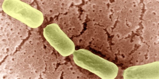 At least 67 people got botulism after trying to paralyze their stomachs