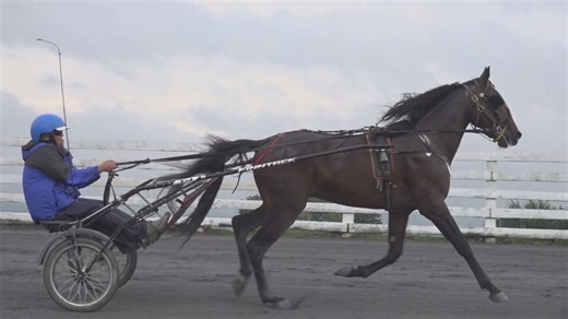 Shenandoah Downs prepares for 10th year of fall harness racing season