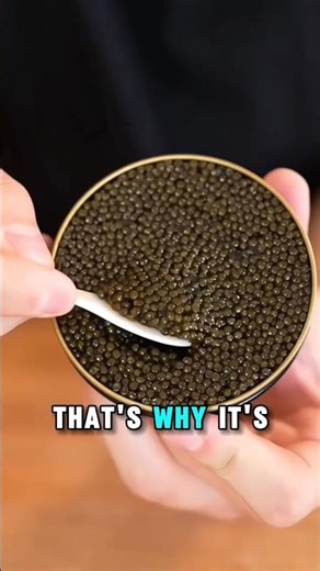 The World’s Most Expensive Food Explained