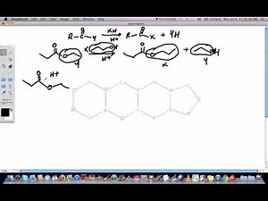 Acid Catalyzed Transesterification Reactions