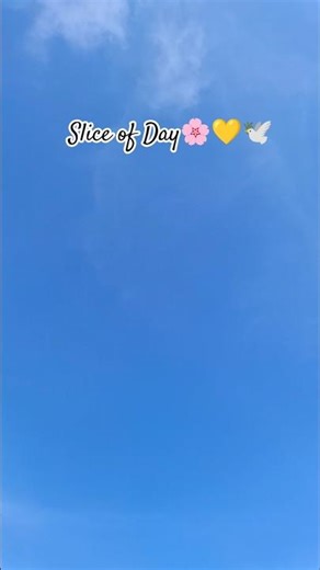 Day 03/100 | A Day In My Life 🌸| Productive Morning,Study #shorts #adayinmylife #minivlog #dailyvlog