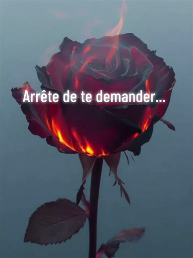 Arrête de te demander si tu es assez bien pour une personne. La vraie question n’a jamais été là. Quelqu’un qui te fait douter de ta valeur n’est pas quelqu’un qui te mérite. Parce que l’amour ne diminue pas, il éclaire, il rassure, il élève. Tu n’as pas à te transformer pour être choisi·e. Tu n’as pas à forcer, à prouver, à te justifier sans cesse. La bonne personne ne te fera pas te sentir “presque suffisante”. Tu es déjà assez. Assez vraie. Assez entière. Assez sensible. Et la personne qui es