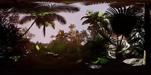 VR360 Camera Moving in a Tropical Jungle Rainforest