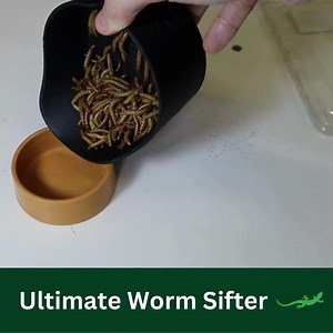Worm Sifting Tray, Ultimate All-in-one Sifter, Reptile Sieve Bowl for Feeder Insects, Mealworm, Superworm, Earthworm, Waxworm. - Etsy