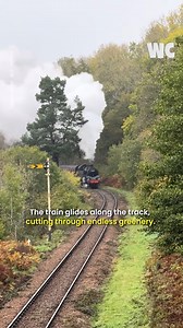 14K views · 171 reactions | This Train Ride Looks Straight Out of a Dream  | Watercooler | Facebook