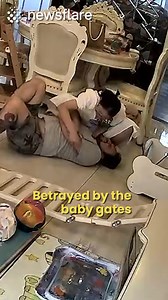 This is the worst baby gate moment of all time | Newsflare