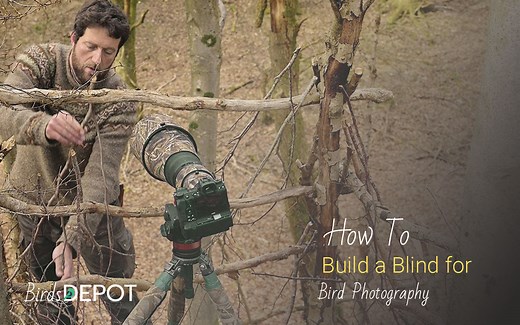 How To Build A Blind For Bird Photography: Step-by-Step Guide