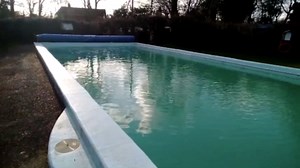 How this big pool was rescued from thick algae