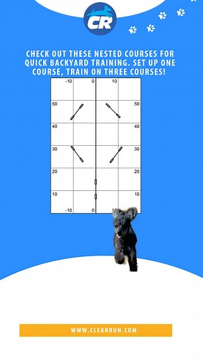 16K views · 37 reactions | Fun for your weekend training!#dog #dogtraining #dogagility | Clean Run | Facebook