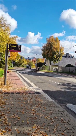 Beautiful Bus Stop View in Autumn 🍂 | Peaceful Fall Vibes