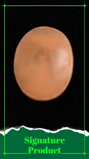 Italian Conch Shell Cameo Village Scene Plaque Handmade 1 in Vintage