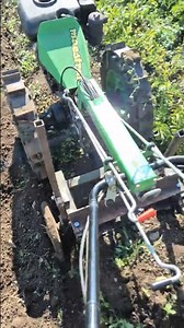 ​Homemade single-row potato digger for a two-wheel tractor in action