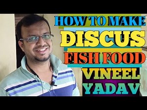 How to make discus fish food | Vineel Yadav | discus fish food | discus fish food hindi | discus