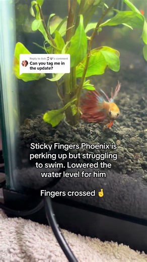 Fish Rescue & Recovery