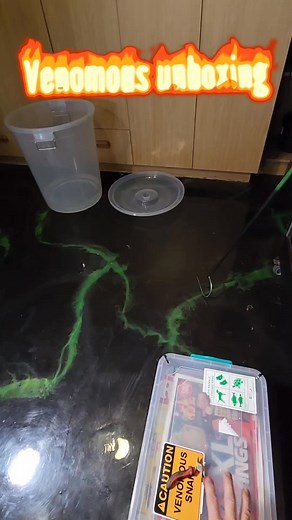 Unboxing my latest critters Lucy and Blanco the Leucistic Monocled Cobra (Naja kaouthia). Full video on YouTube https://youtu.be/FJEvwvIOj-4?si=lNRneq4LTbF88jxf #Naja #najakaouthia #Cobra #venomoussnake #unboxing #snake | Reptile Garden