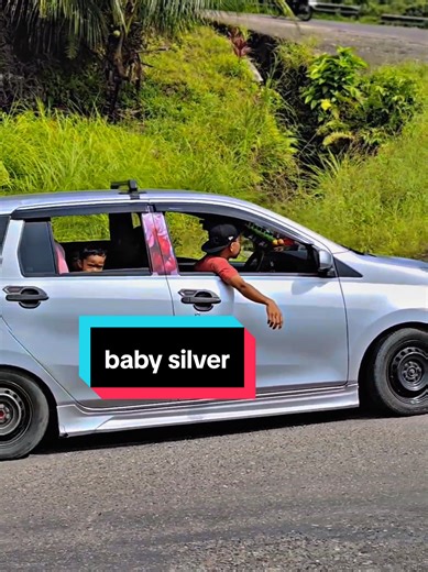 Baby Silver: Discover the Unique Beauty of This Fish