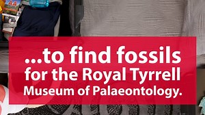 155K views · 229 reactions | How much fun can you pack into a summer trip to Calgary? | Tourism Calgary | Facebook