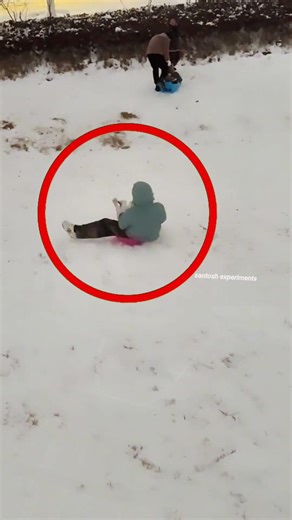 Dog Carries Sled Back So They Can Slide Again 🐶 | PURE LOVE #shorts