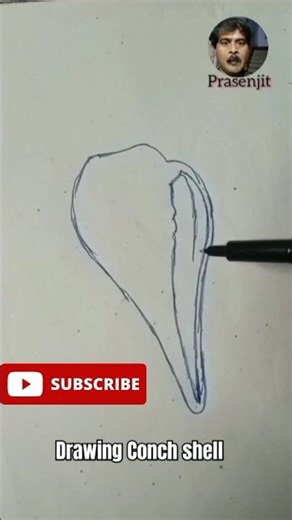 How to draw conch shell । Conch shell drawing #shorts #viral #shortsfeed #drawing