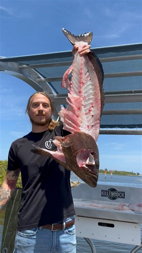 Big Black Grouper Cheeks 🔥KillerDock | Reed_thefishmonger